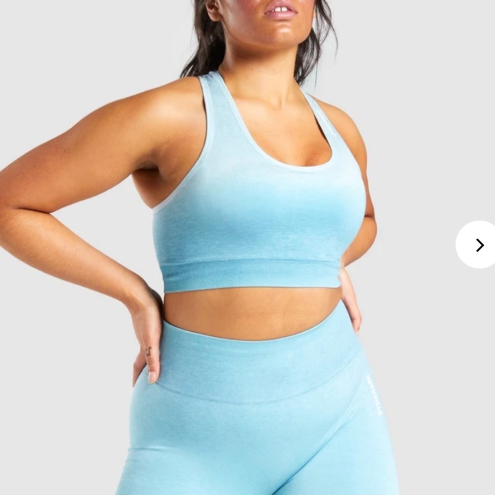 GYMSHARK adapt seamless sport bra